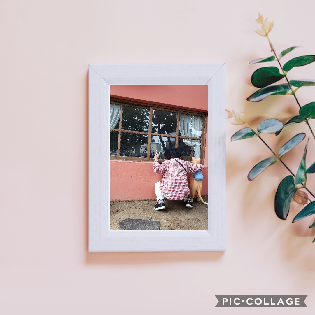 Collage 2019 06 12 14 19 13 5a6eb